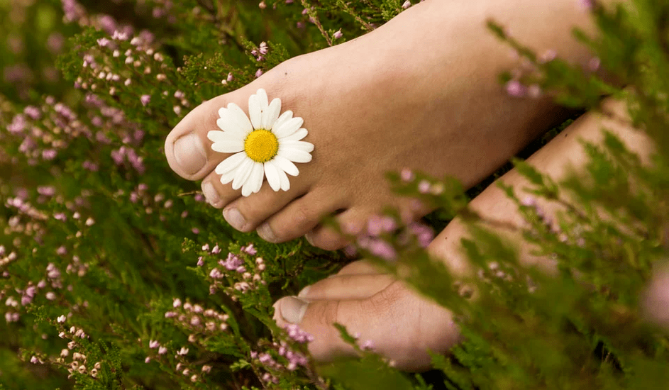 A healthy nail